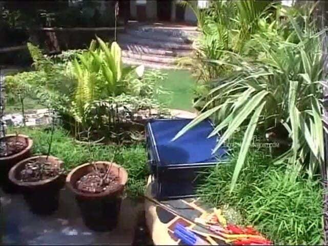 Hardcore slave sex: การฝึกหัดสาวใช้หนุ่มน้อย