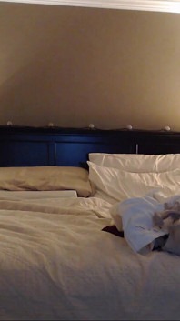 Shhhh Sneaky Sexy Tease