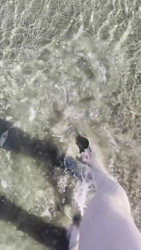 Beach Feet Teasing