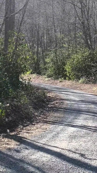 森の中で小便売春婦、車のドアが大きく開いて捕まる、彼女は希望です