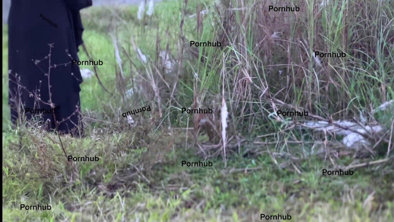 Aria Mia: Egipt muzułmańska farma dziewczyna z Abayą próbują znaleźć ogórek na...