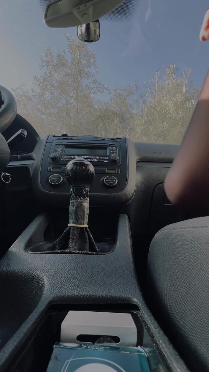 Couplehamster: I Put the Gear Lever of a Friend's Car in...