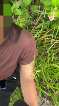 Cum Swallow in Public.