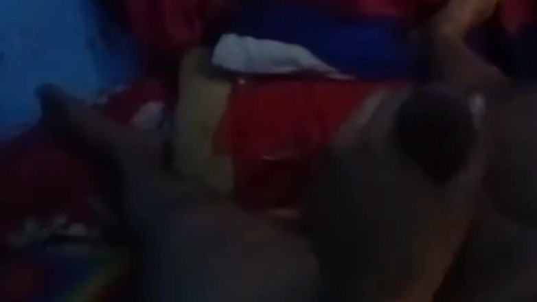 Sabina244: 새로운 인도 인도 이복 누이 쪼이는 보지