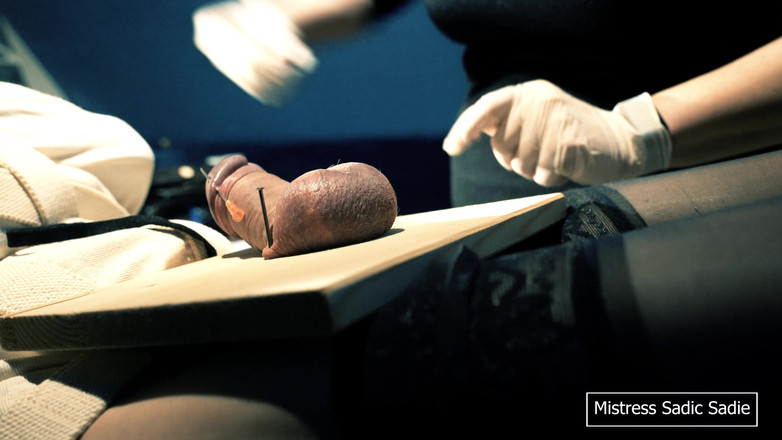 Sadic Sadie: Primeira vez pregando bolas e uma agulha na sua bolota.
