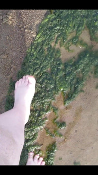 Getting a Little Wet at the Beach