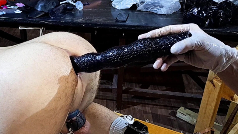 Master Drex: Zwei dildos