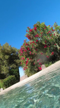 Heißer lesbischer interracial spaß im pool