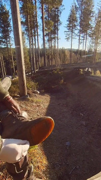 Palenie w Forrest