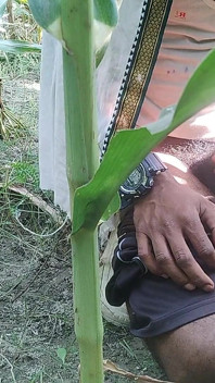 Indian Jungle Transgender Shakes Alone