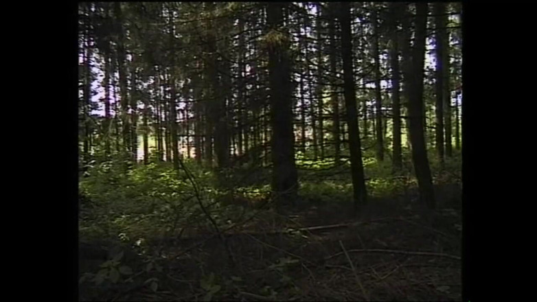 DEUTSCHLAND PORNO TV - our best full movie: An Alternative Pussy