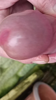 Hot Dilf Big Mushroom Head Cock Close up Outdoor Wanking and Cumming - Rockard Stepdaddy