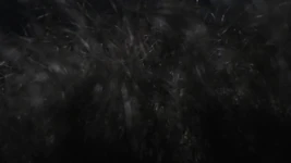 Leather Daddy Worship and Smell My Long Pubic Hair