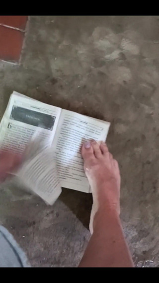 FrauleinP: Got Desperate While Reading a Book.