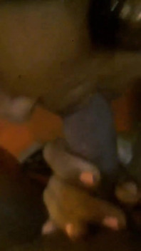 Visitas de esteticista de mi esposa en busca de complemento