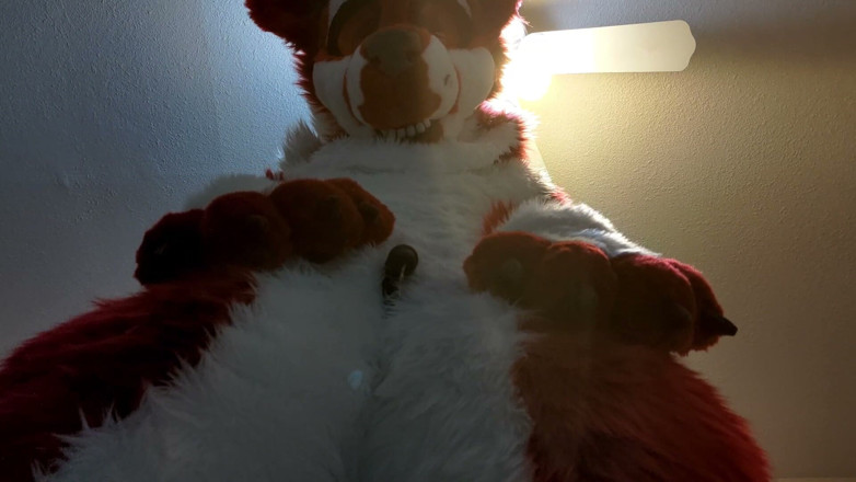 PawgrammerSocks: Furry in Full-body Fursuit Pisses on You, Then Cums Over...
