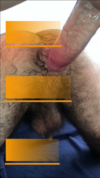 Hairy Bear Doing Laundry