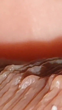 Zblízka Deep on Straight Daddy's Dick