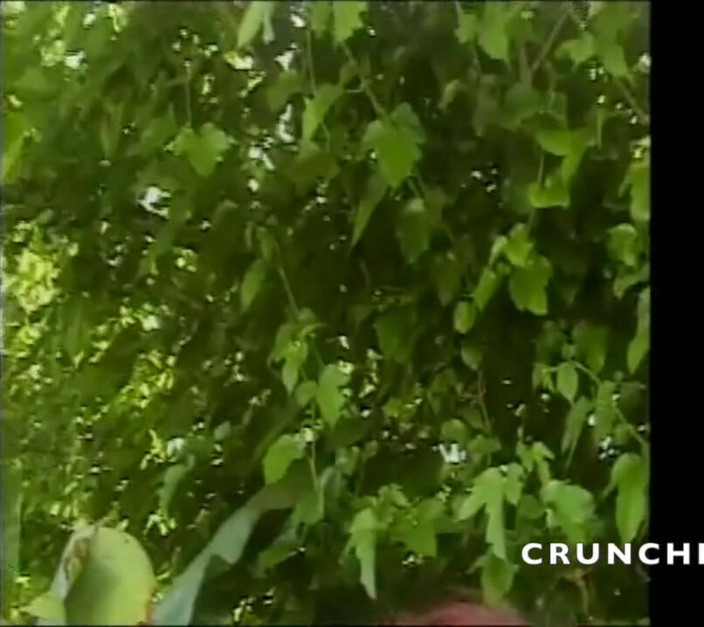 Bitch Girl Video: 거리에서 따먹히는 계집애 아빠