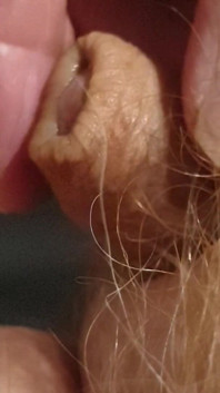 My Tiny Dick, Wet