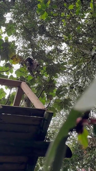 Outdoor Sex with My Lover with the Giant Cock! - Duncant Saint