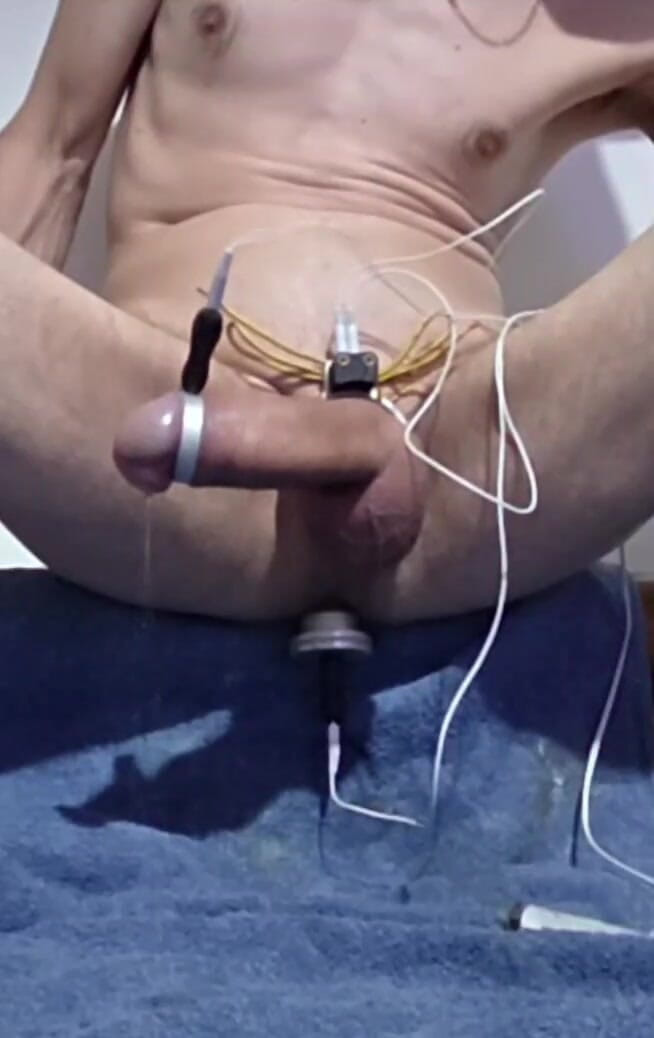 Prostatecumer: 주인에게 젖을 짜는 Whelp