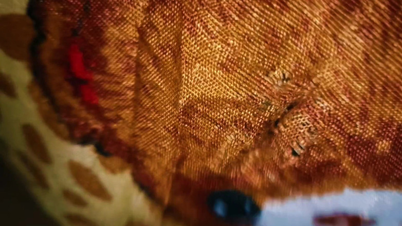 Catchybusty: Nimeni nu este în casă, partea 3