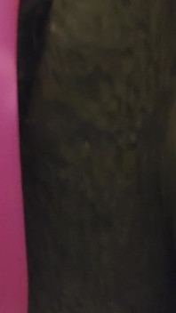 This Is Just the Beginning