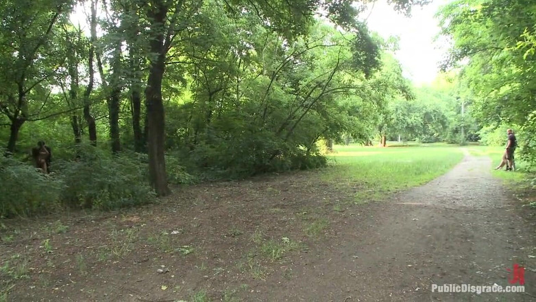 Public Disgrace by Kink: Scopata su un City bus