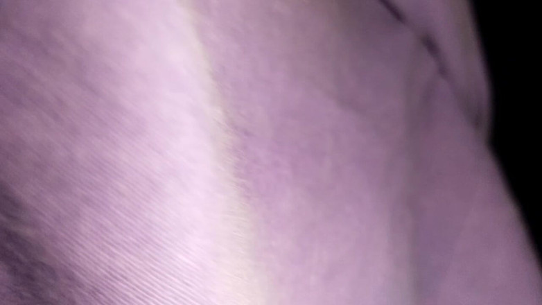 hotsimran70: Soniya Bahal - primeros videos de sexo y preñada