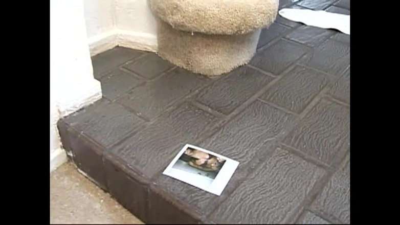 FM Video films: Морбідні та збочені сексуальні історії!! - Том #01