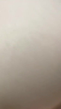4410661