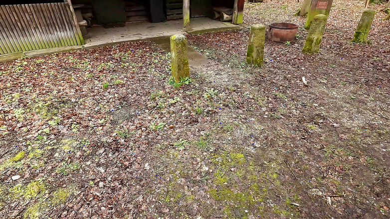 Bouncy Tits Action: Piknik masasında çıplak amcık sikiliyor