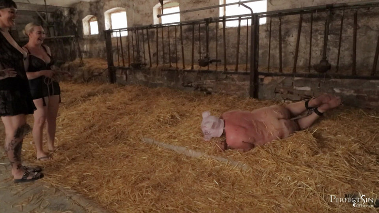 Perfect Sin Network: Latihan untuk cewek piggy