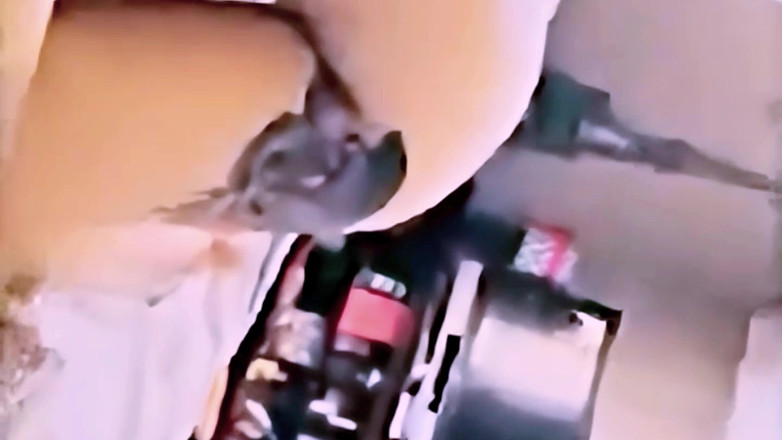 Gonna make you squirt: 55m fotoğrafçımın büyük yarağını emdim hepsini boğazıma alıyor ve mükemmel...