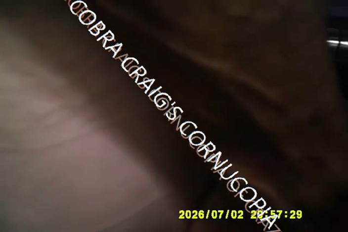 COBRA CRAIG: 7-2-2026 Fap House Exclusiveif I Break for 5 My Ass Closes...