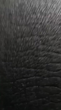 Black Small Cock Fuck Big Pussy so Hard
