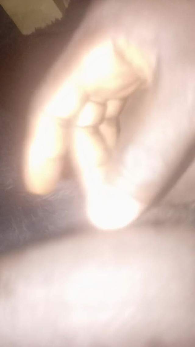 This How BBC Squirts Cum Flow (Gigadicki256) This How BBC Squirts Cum Flow (Gigadicki256)