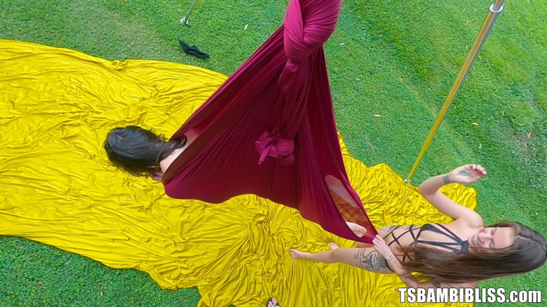 TransErotica: Fucking on the Swing