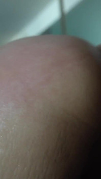 Schoolgirl the Stallion