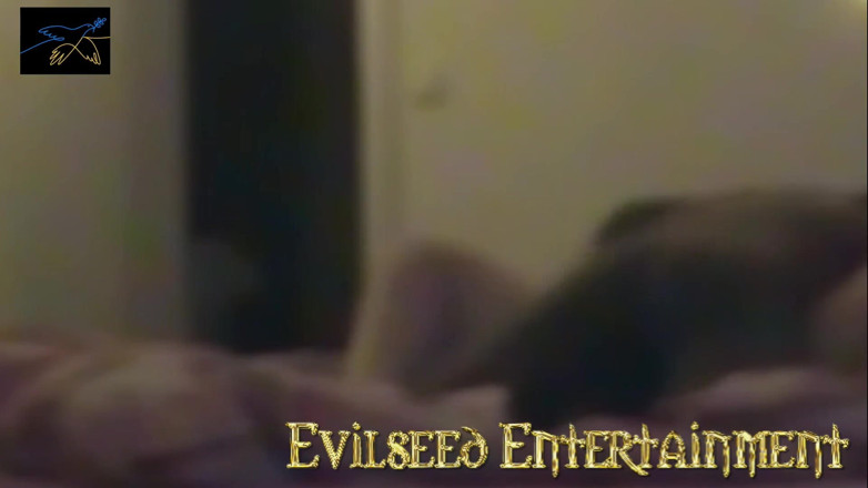 Evilseed Entertainment: Blonďatá teenagerka dostane černého ptáka Wlucio Marave