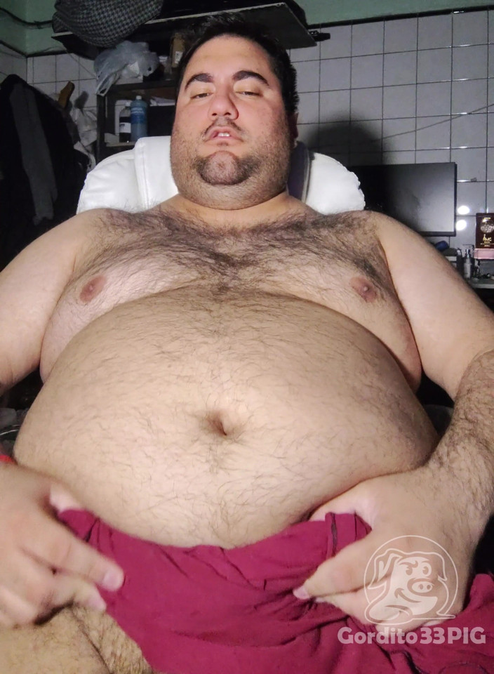 Gordito33PIG: Greedy Fat Pig
