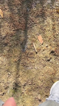 Pissing Outdoors and More Compilation