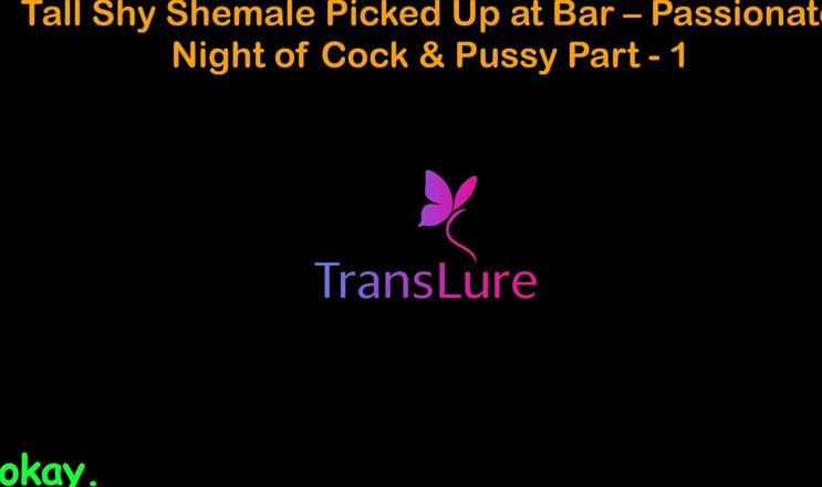 TransLure: English Audio Sex Story - Tall Shy Shemale Picked up at...