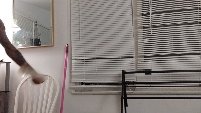 Vovxxx: Pumping My Clit
