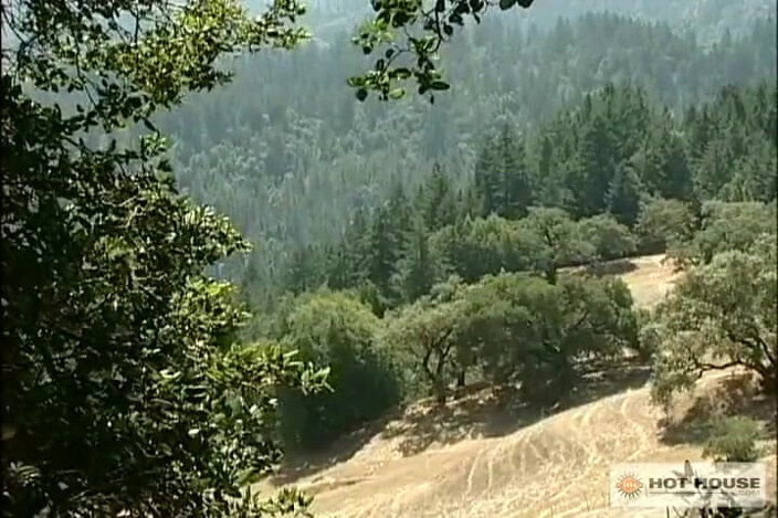 Hot House: Wild Oats
