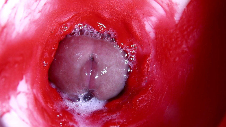 SEXY_GUYBEST: 熱く濡れたセクシーな穴とずさんな巨根