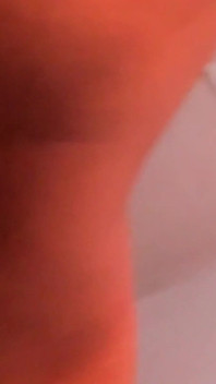 最好的斯里兰卡 Forplay