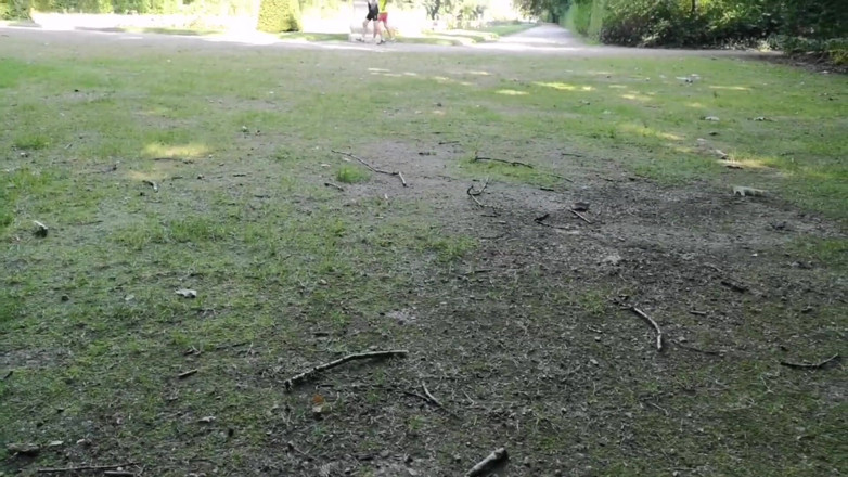 Monster_Meat_: Joacă riscantă în aer liber în parc