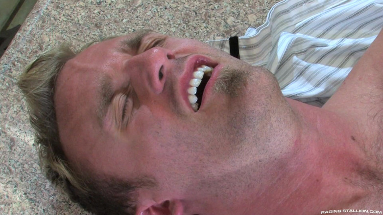 Raging Stallion: Swallow Seed Co